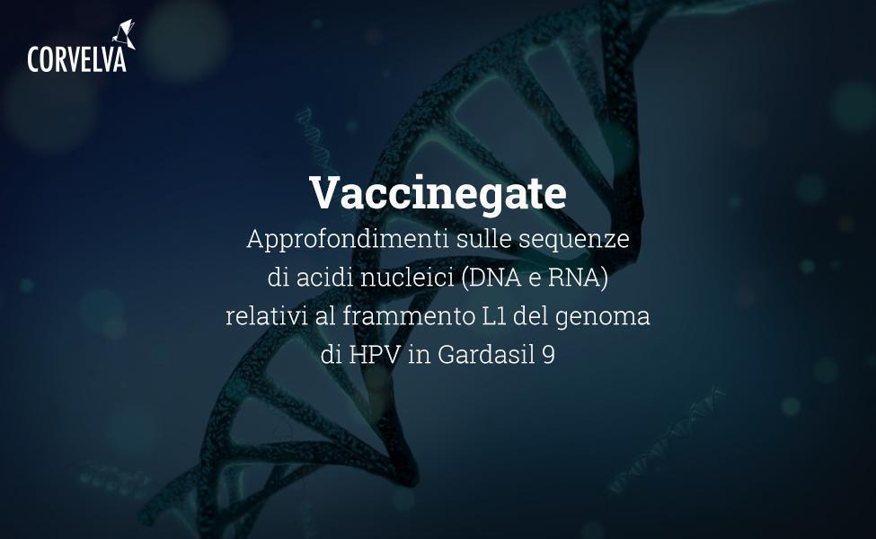Approfondimenti sulle sequenze di acidi nucleici (DNA e RNA) relativi al frammento L1 del genoma di HPV in Gardasil 9