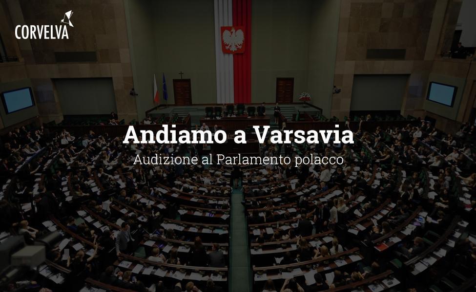 Let's go to Warsaw: hearing in the Polish Parliament