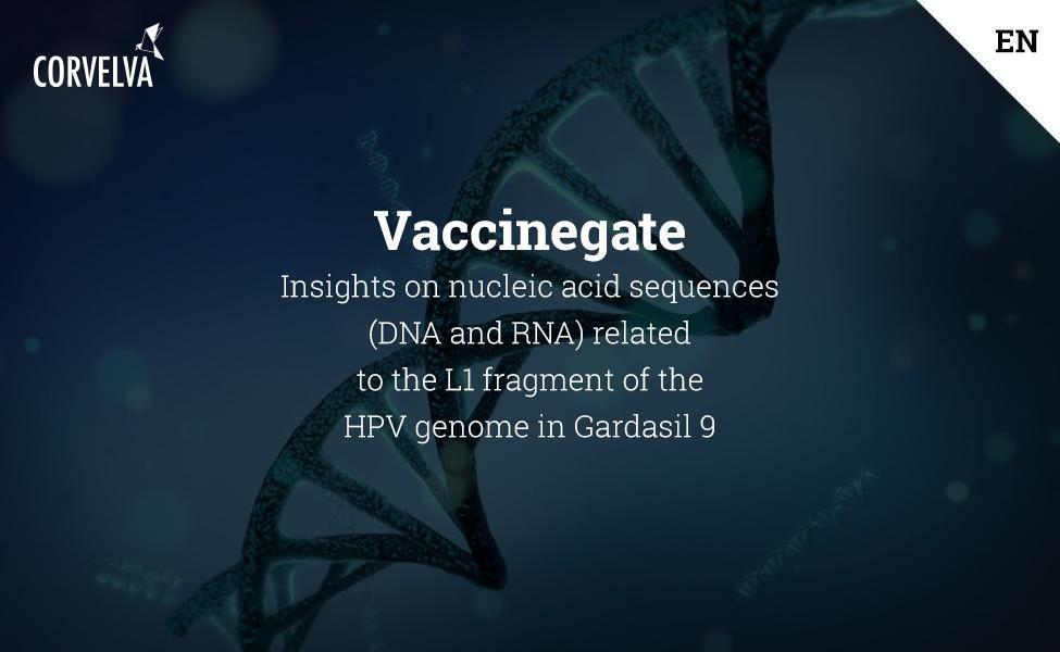 Insights on nucleic acid sequences  (DNA and RNA) related to the  L1 fragment of the HPV genome in Gardasil 9