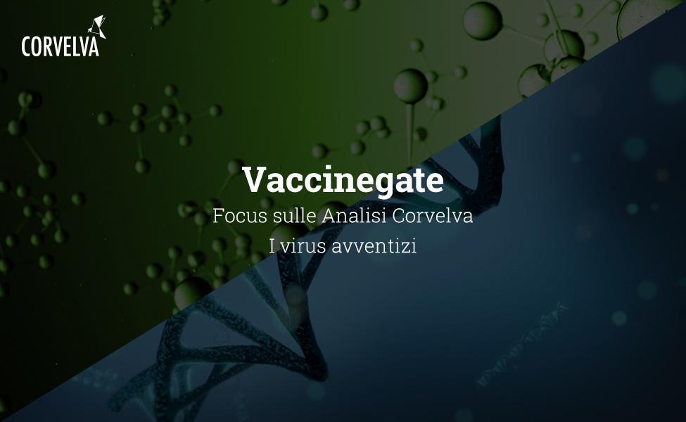 Enfoque en el análisis de Corvelva: virus adventicios