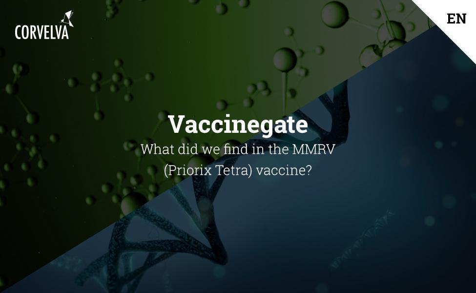 Qu'avons-nous trouvé dans le vaccin MMRV (Priorix Tetra)?