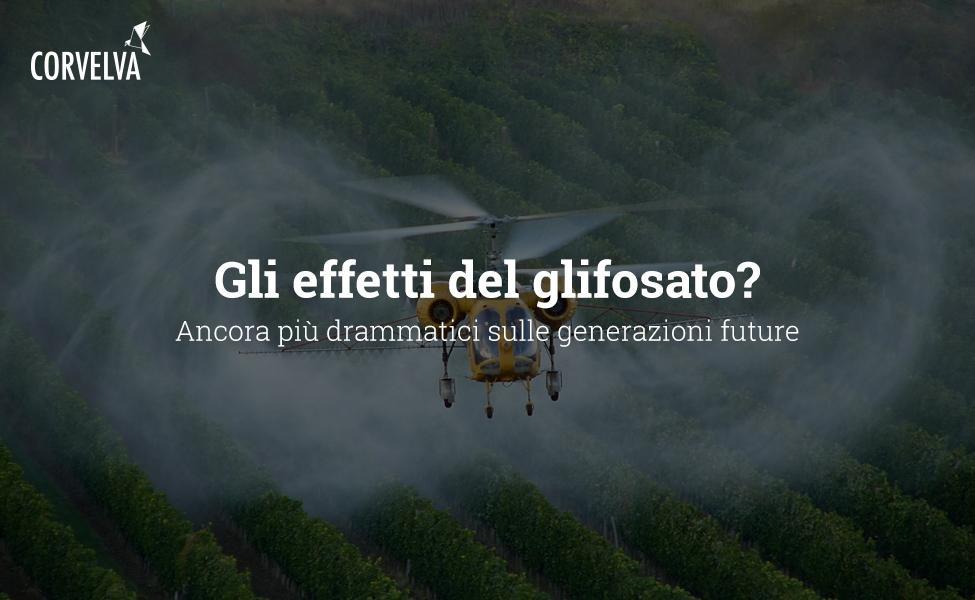 The effects of glyphosate? Even more dramatic about future generations