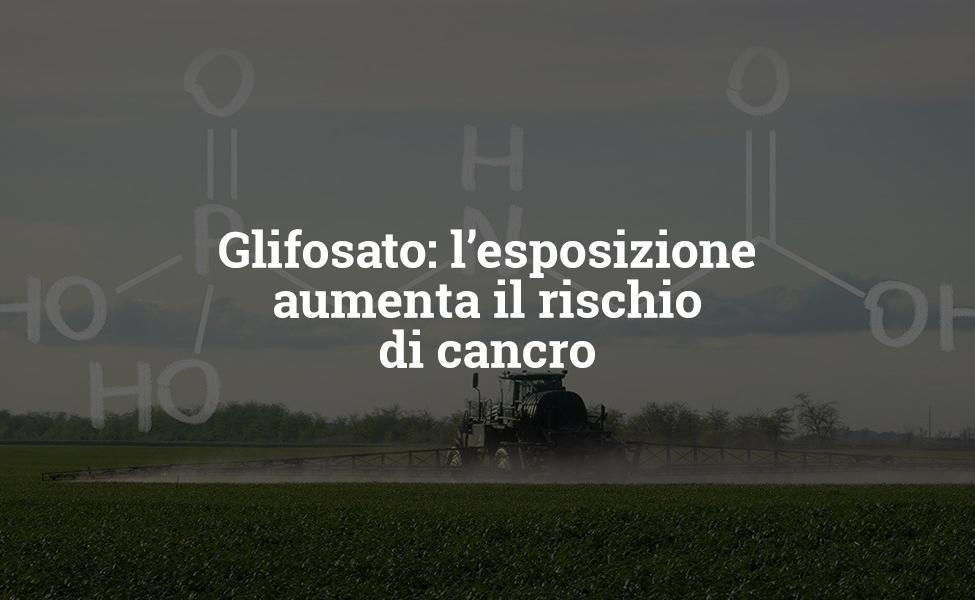 Glyphosate: exposure increases the risk of cancer