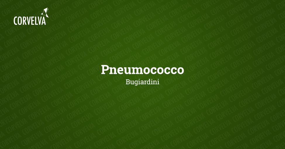 pneumococcus