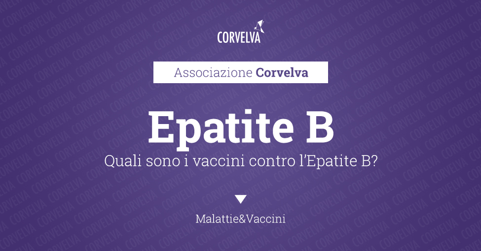 What are the Hepatitis B vaccines?