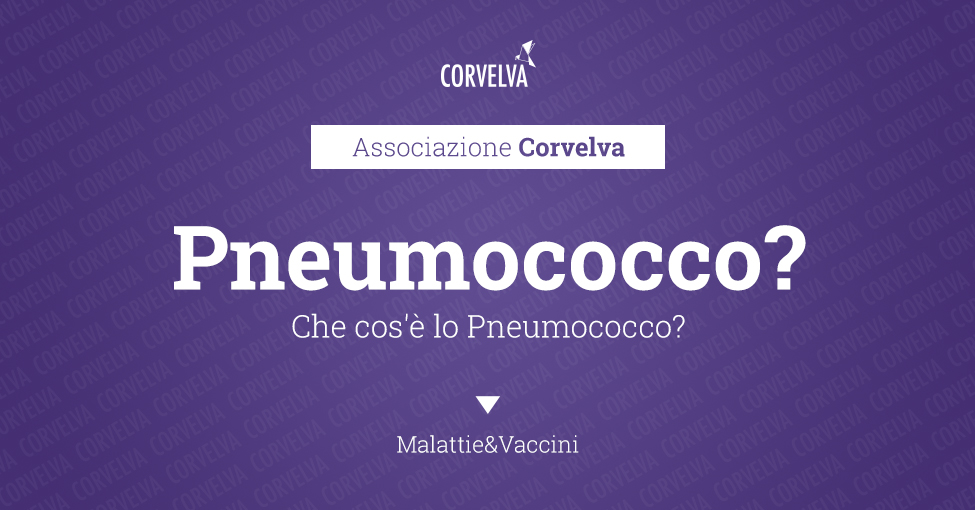 What is Pneumococcus?